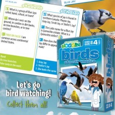 Professor Noggin's Birds of North America | Ages 7+ | 2-8 Players